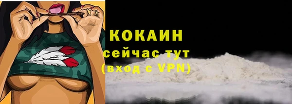 спайс Верея