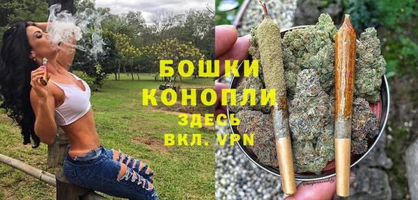 спайс Верея