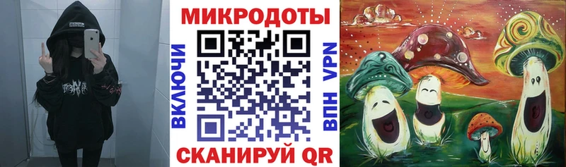 как найти   Карачаевск  Галлюциногенные грибы мухоморы 